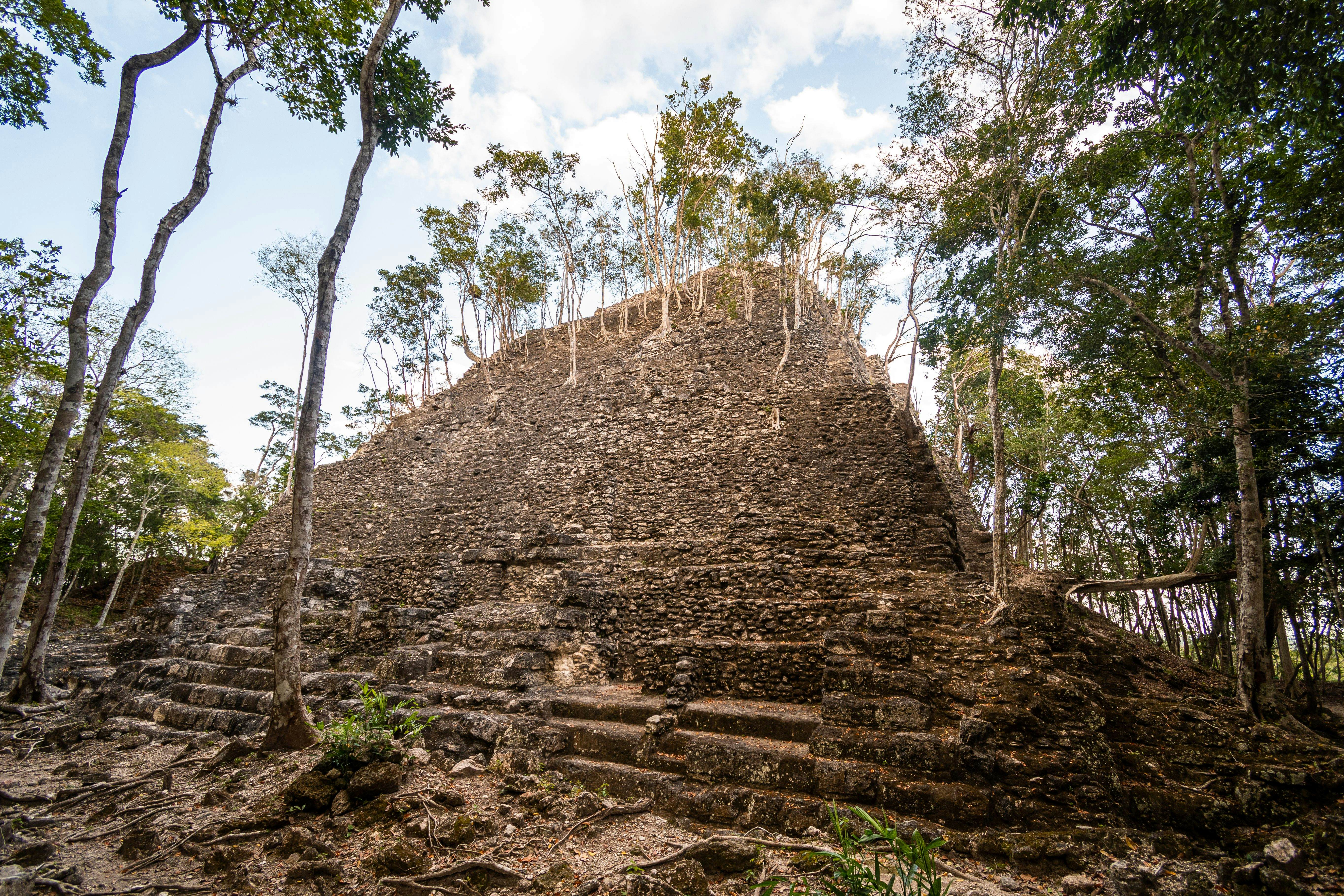 Ruins of an ancient maya pyramid (La Danta) deep in the Guatamalan jungle. Trees growing on the structure. Shot in El Mirador national park in Northern Guatemala. ; Shutterstock ID 1711358266; your: Bridget Brown; gl: 65050; netsuite: Online Editorial; full: POI Image Update
